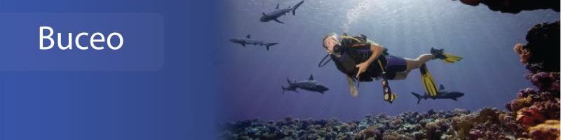 buceo